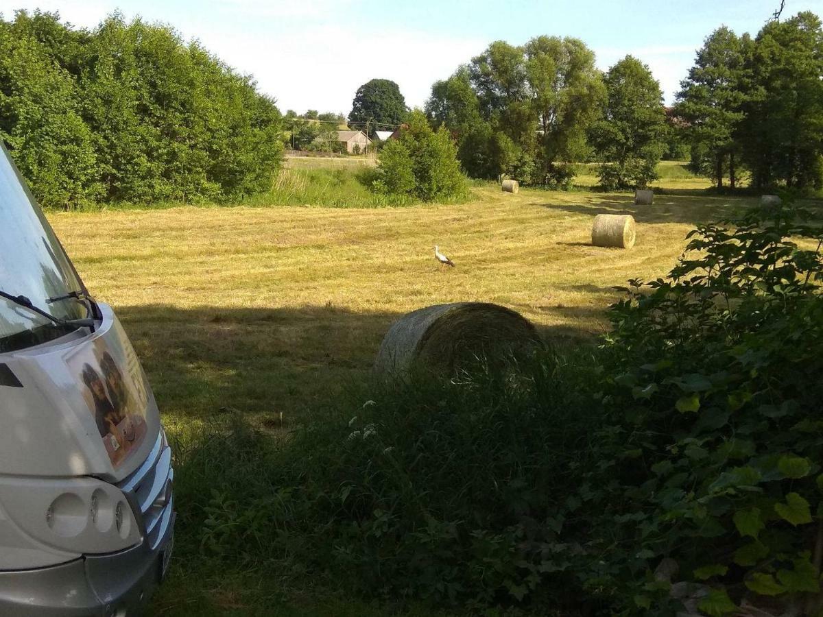 W Starej Szkole - Agroturystyka Pieczarki Eksteriør billede
