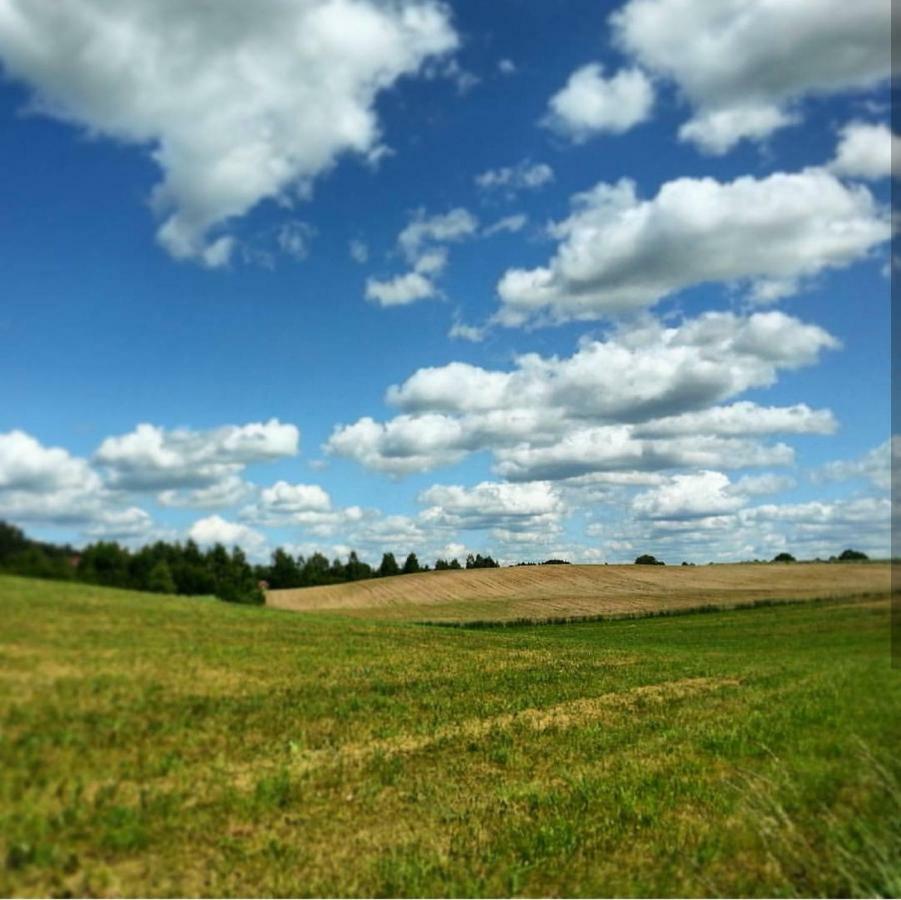 W Starej Szkole - Agroturystyka Pieczarki Eksteriør billede